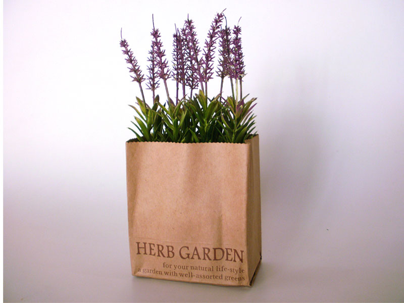 עציץ לבנדר בשקית קרטון 